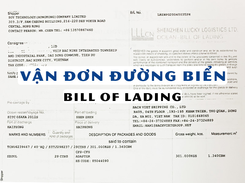 Bill of Lading và quy trình phát hành vận đơn đường biển