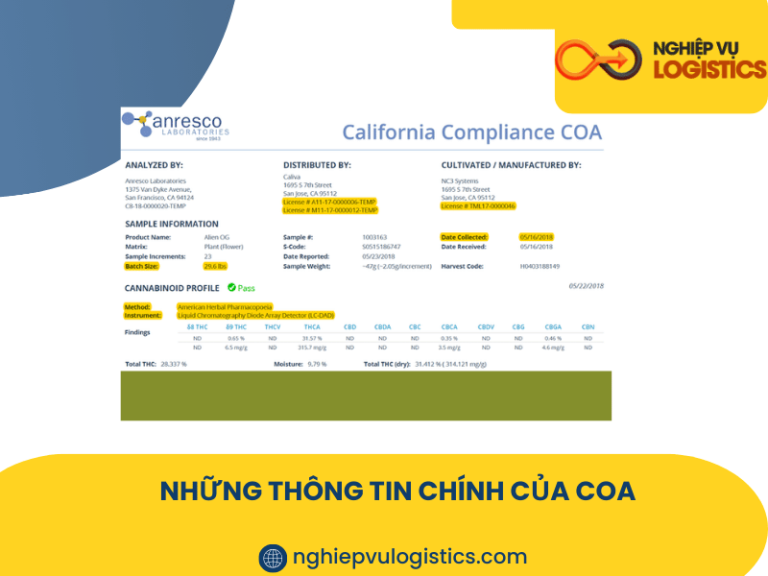 COA Là Gì Trong Xuất Nhập Khẩu? Tất Tần Tật Bạn Cần Biết - Nghiệp Vụ ...