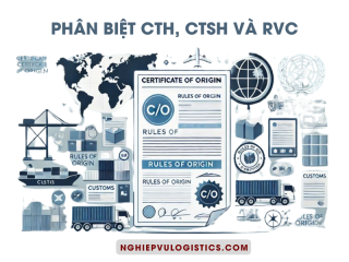 Regular Cth Phân Biệt CTH, CTSH Và RVC: Chọn Tiêu Chí Nào Khi Xin C/O?