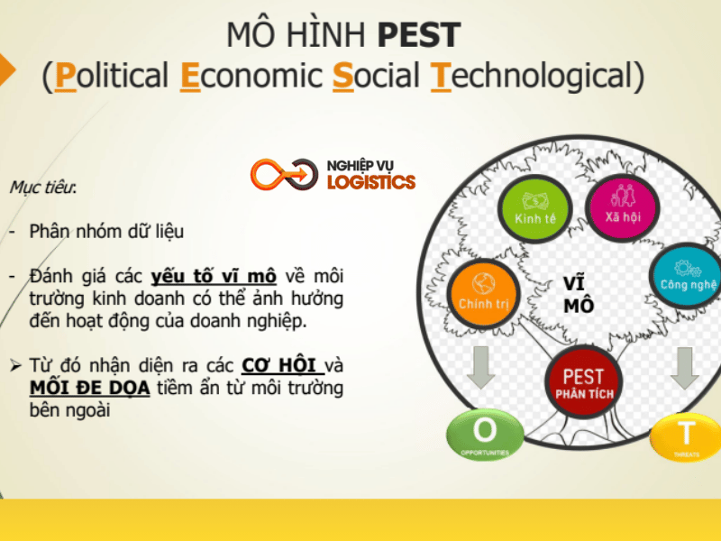 mô hình pest trong xuất nhập khẩu